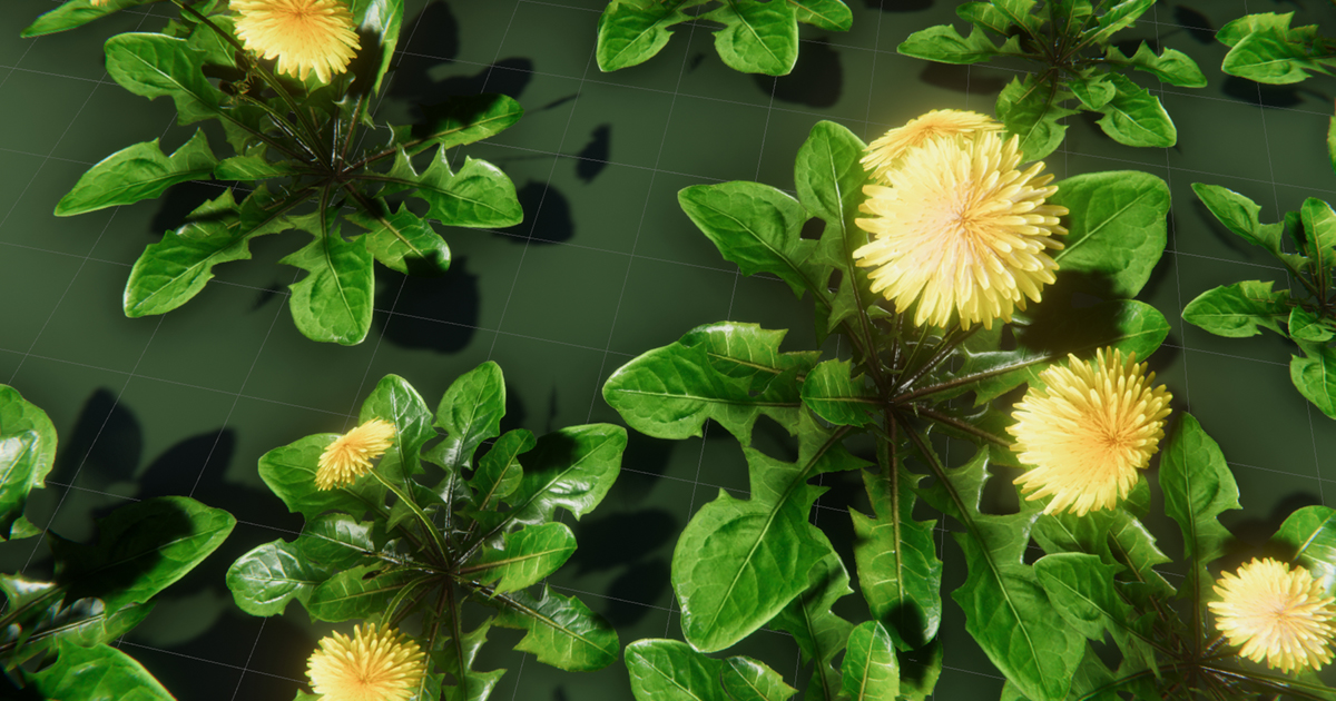 PBR Grass Flowers Pack | 3D Plants | Unity Asset Store
