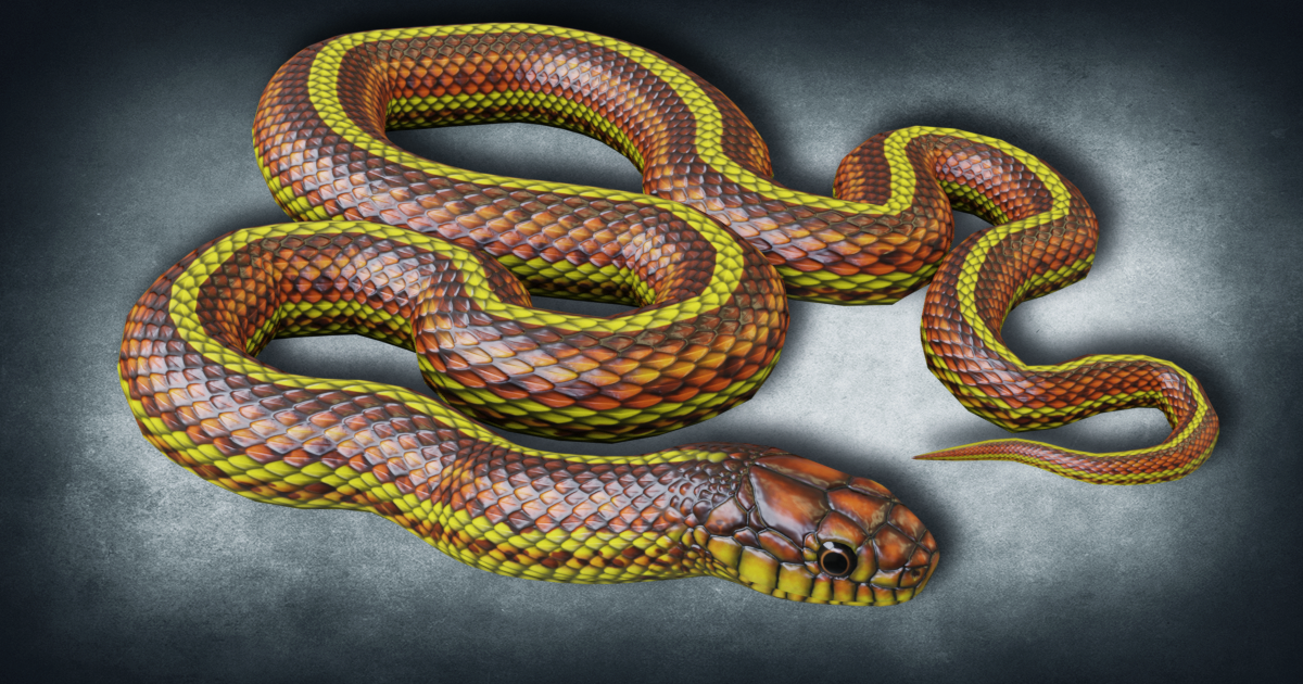 Basic Unity Snake Color Animated Yellow Snake PBR | 캐릭터 | Unity Asset Store