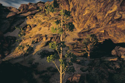 Procedural Tree
