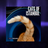 Cats Of Istanbul Vol.1 SFX Pack
