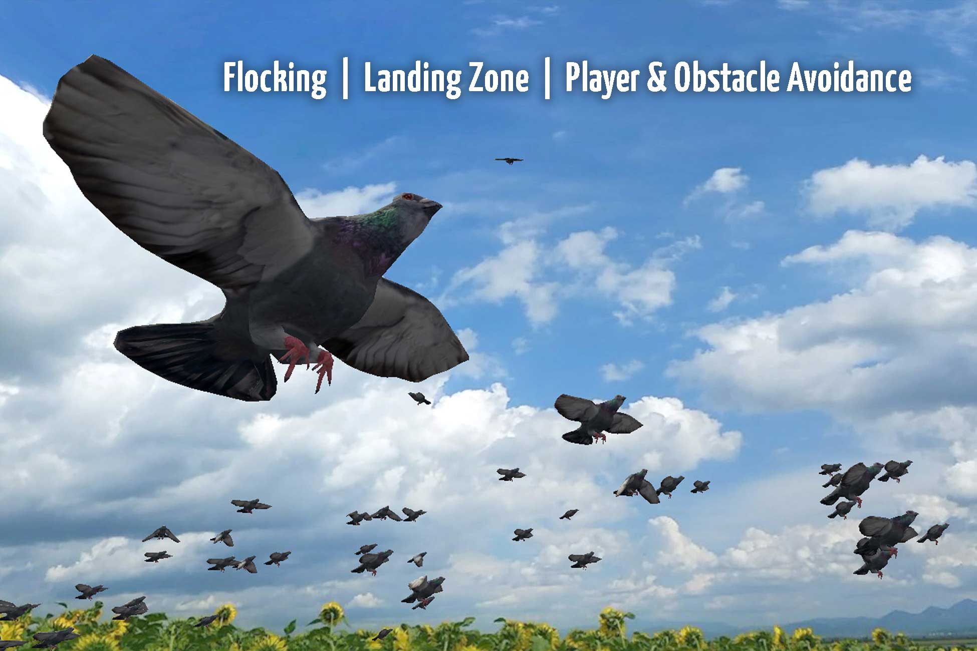 PIGEONs