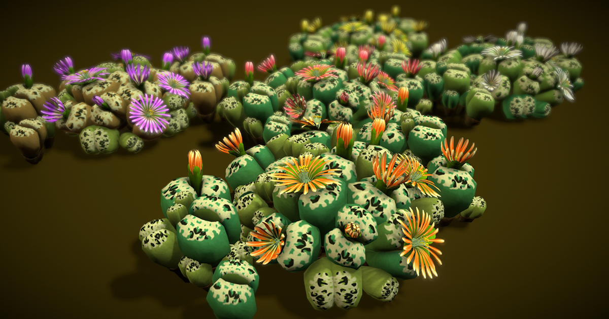 Flower Lithops | 3D Flowers | Unity Asset Store