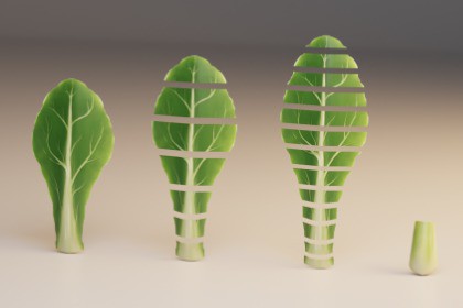 Stylized Asian Vegetable 3D Model Pack – Modular Low Poly Set