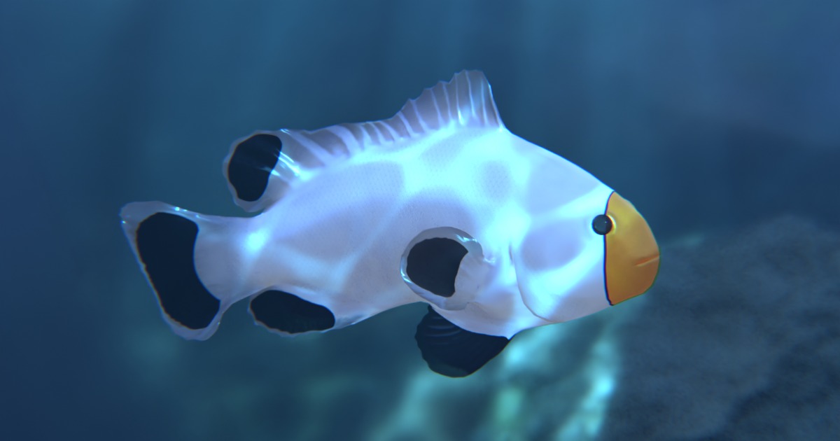 Clownfish Black Ice Platinium | Characters | Unity Asset Store
