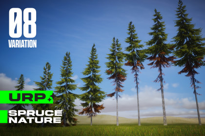 Spruce Nature