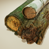 Wild Harvest: Log Salvage