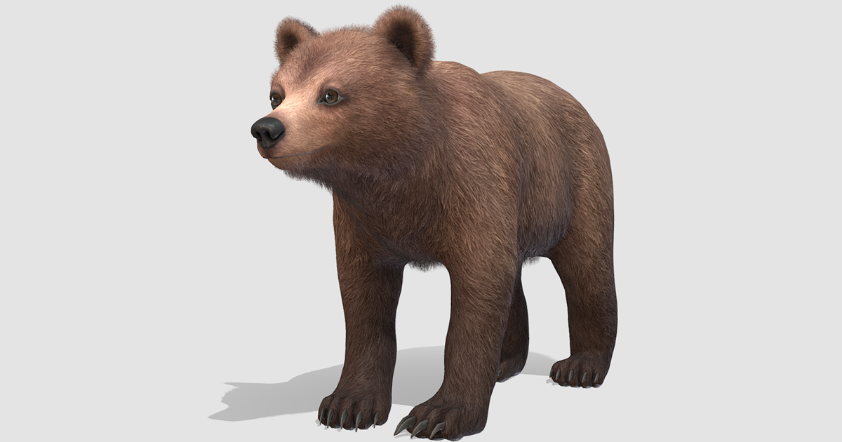 Bear - Cub | Characters | Unity Asset Store