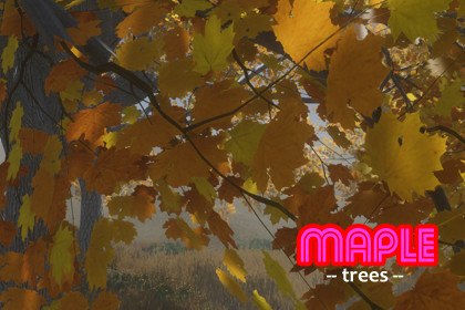 Trees - Maple (HQ)