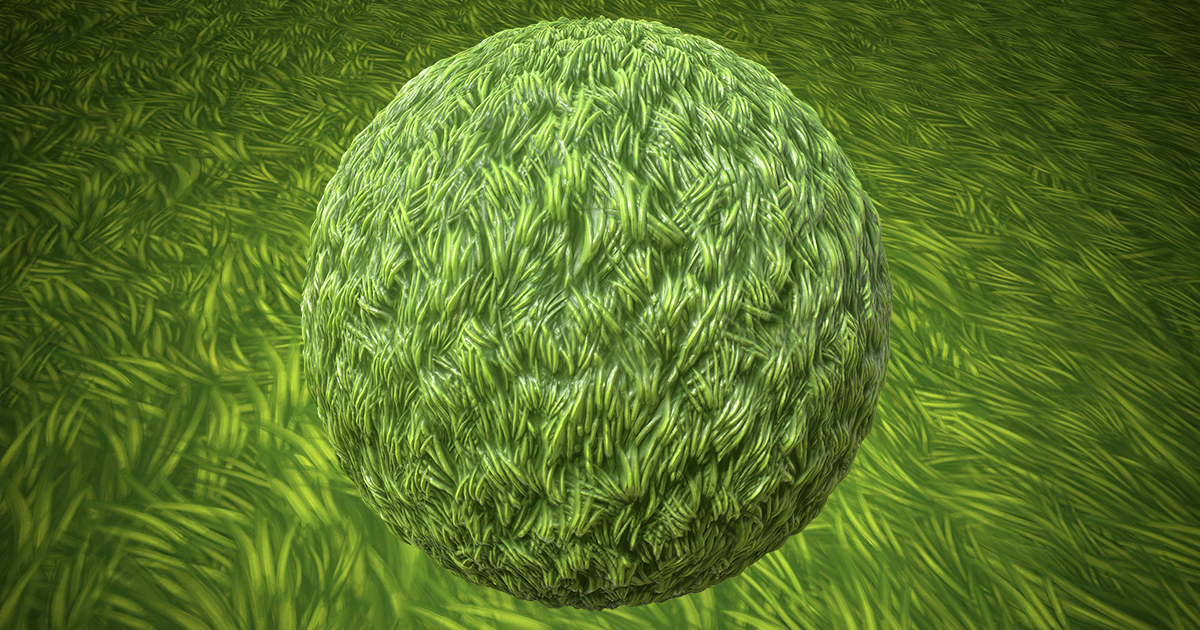 Hand Painted Grass Texture | 2D Floors | Unity Asset Store