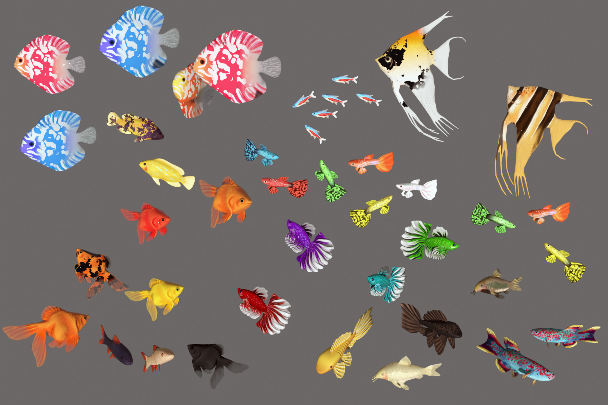 3D Stylized Freshwater Fish Aquarium Pack | Characters | Unity Asset Store