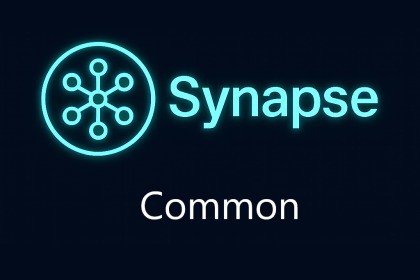 Synapse Framework