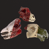 Stylized Skulls and bones pack
