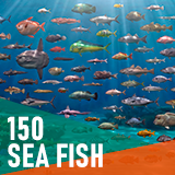 150 Sea fish - Full pack