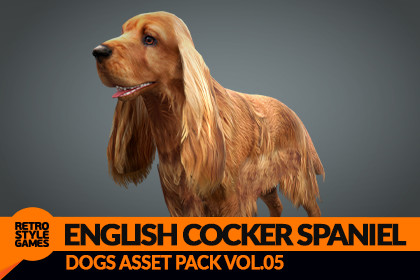English Cocker Spaniel 3D Model