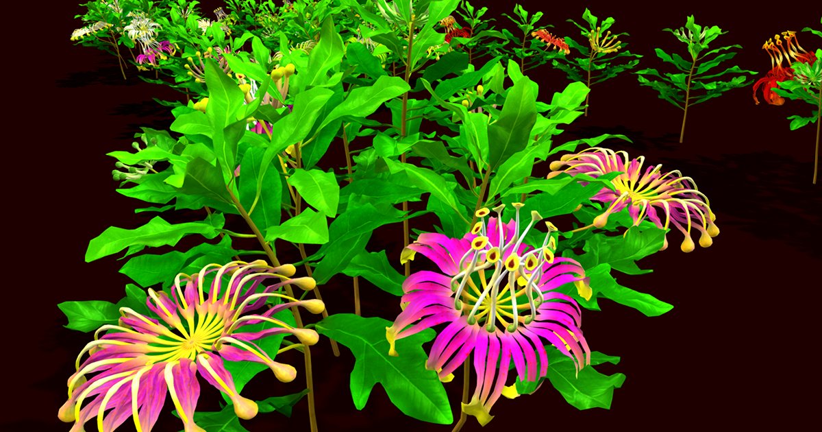 Flower Firewheel Tree | 3D Flowers | Unity Asset Store