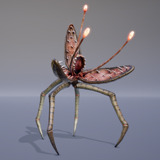 MONSTER: TRIMAXILLOPOD