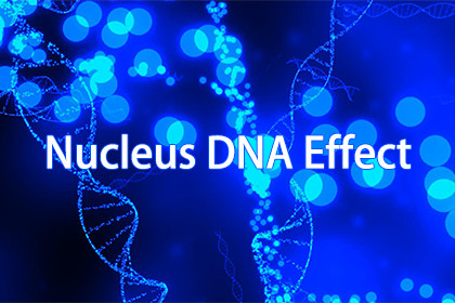 Nucleus DNA Effect By maything