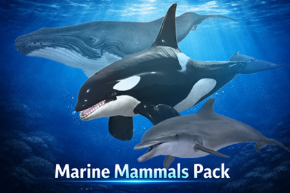 Marine Mammals Pack
