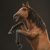 PBR Horse