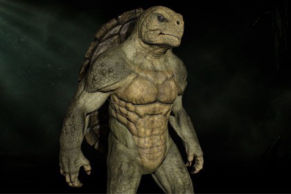 Turtle Humanoid