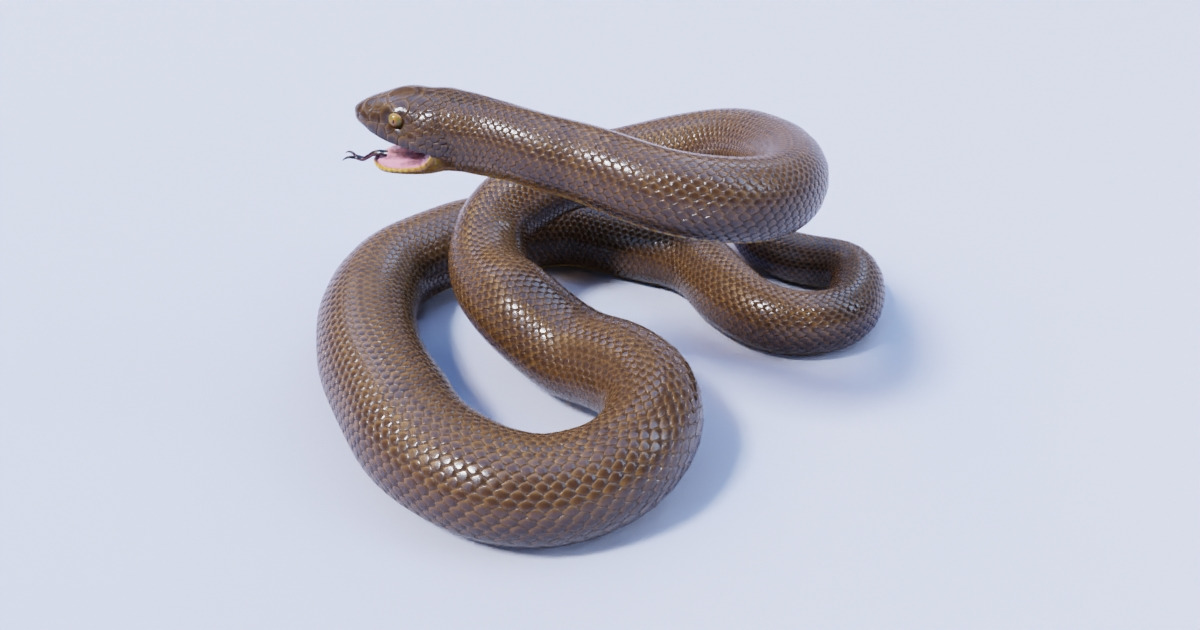 Rubber Boa Characters Unity Asset Store