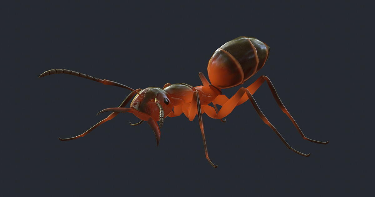 Fire Ant | Characters | Unity Asset Store
