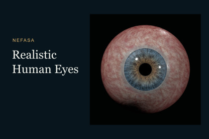 Realistic Human Eyes