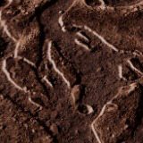 Mars Environment V5