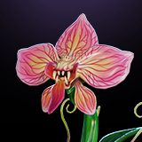 Viper Bloom – Predatory Orchid Enemy