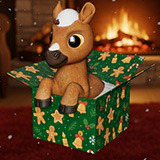 Baby Horse in the box