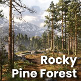Rocky Pine Forest