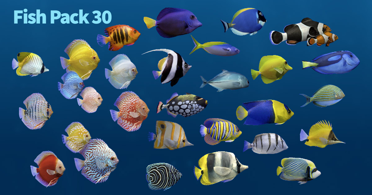 Unity Asset Fish Fish Pack 30 | 캐릭터 | Unity Asset Store