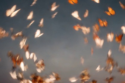 Mystic Asian Music Pack Vol1