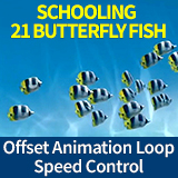 Schooling Butterfly Fish