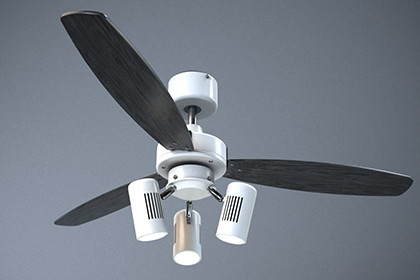 Ceiling Fan with Lights