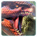 Fantasy Creature Pack 1