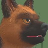 Cute Dog - German Shepherd