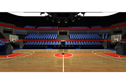 Basket Ball Stadium