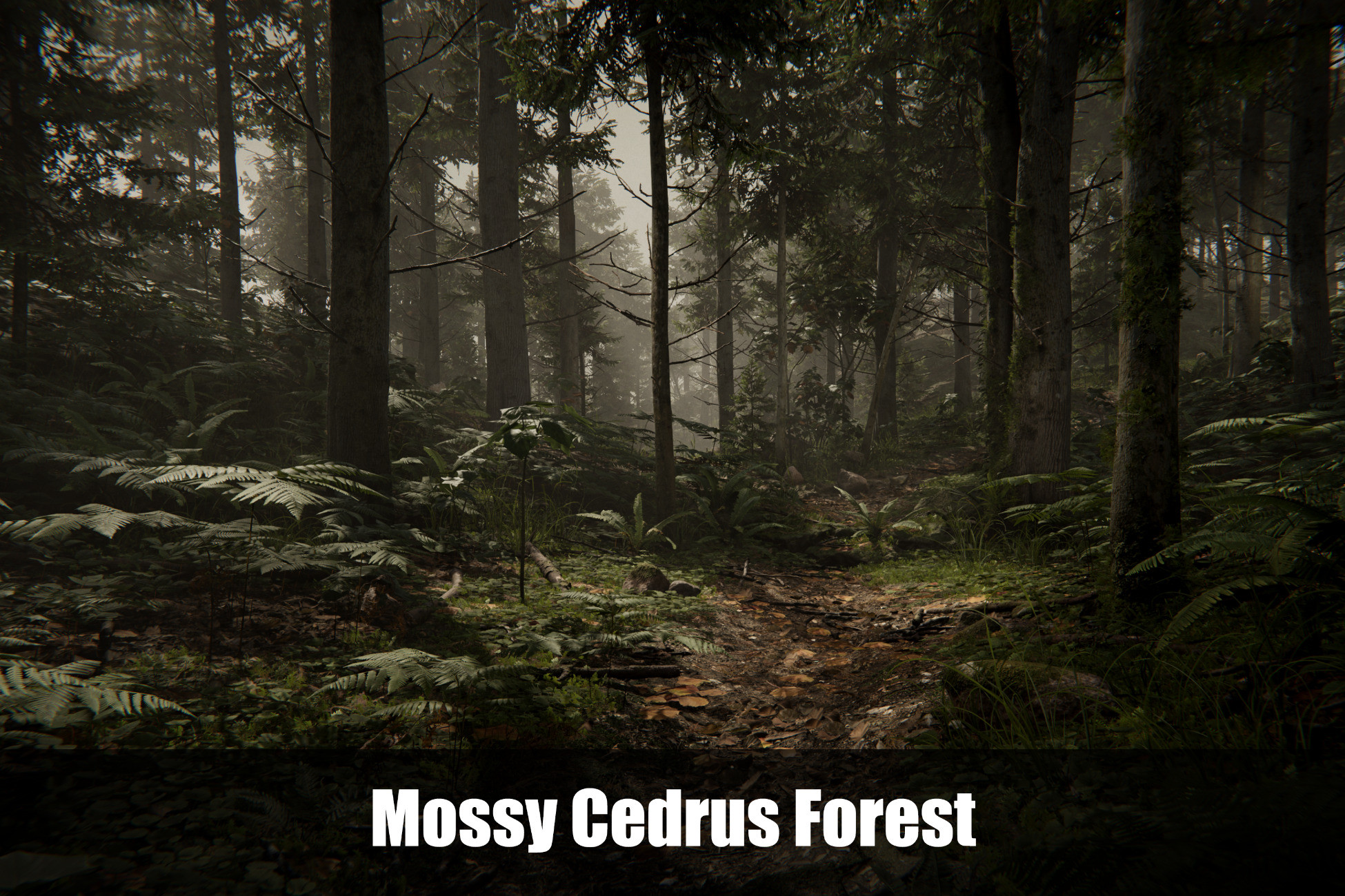 Asset Screenshot 1