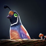 Low Poly Bird w Nest