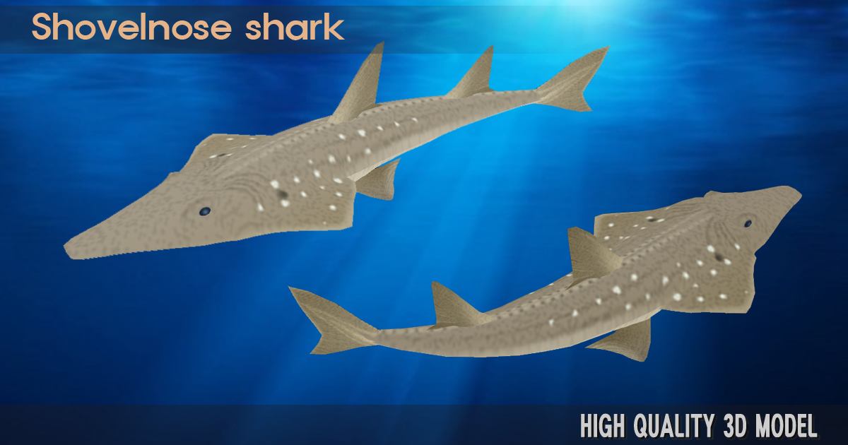 3D Shovelnose shark | Characters | Unity Asset Store
