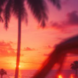 Hammer Mini Music Pack - Tropical Sunset Drive