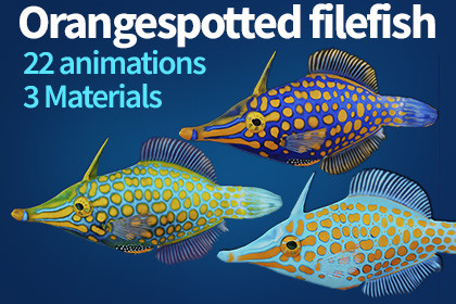 Orangespotted Filefish