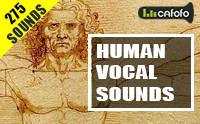 Human Vocal Sounds
