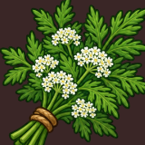 Herbalism Apothecary Botanical Alchemy Medicinal Plants Icons Pack