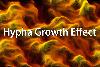 Hypha Growth Effect By maything