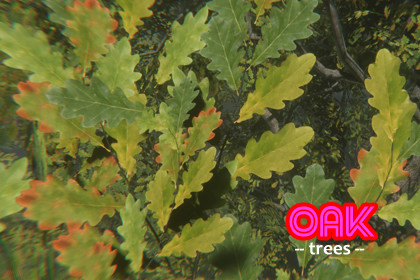 Trees - Oak (HQ)