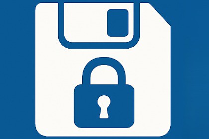 SaveData Pro