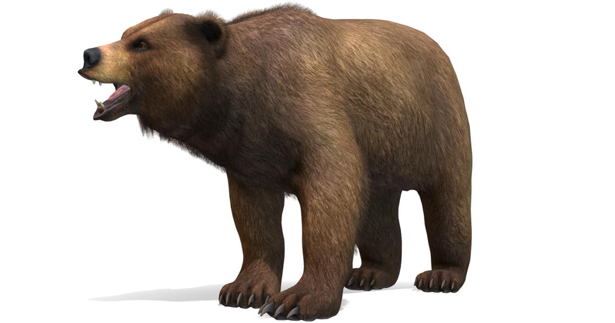 Red Bear Unity Model Bear - Male | Characters | Unity Asset Store