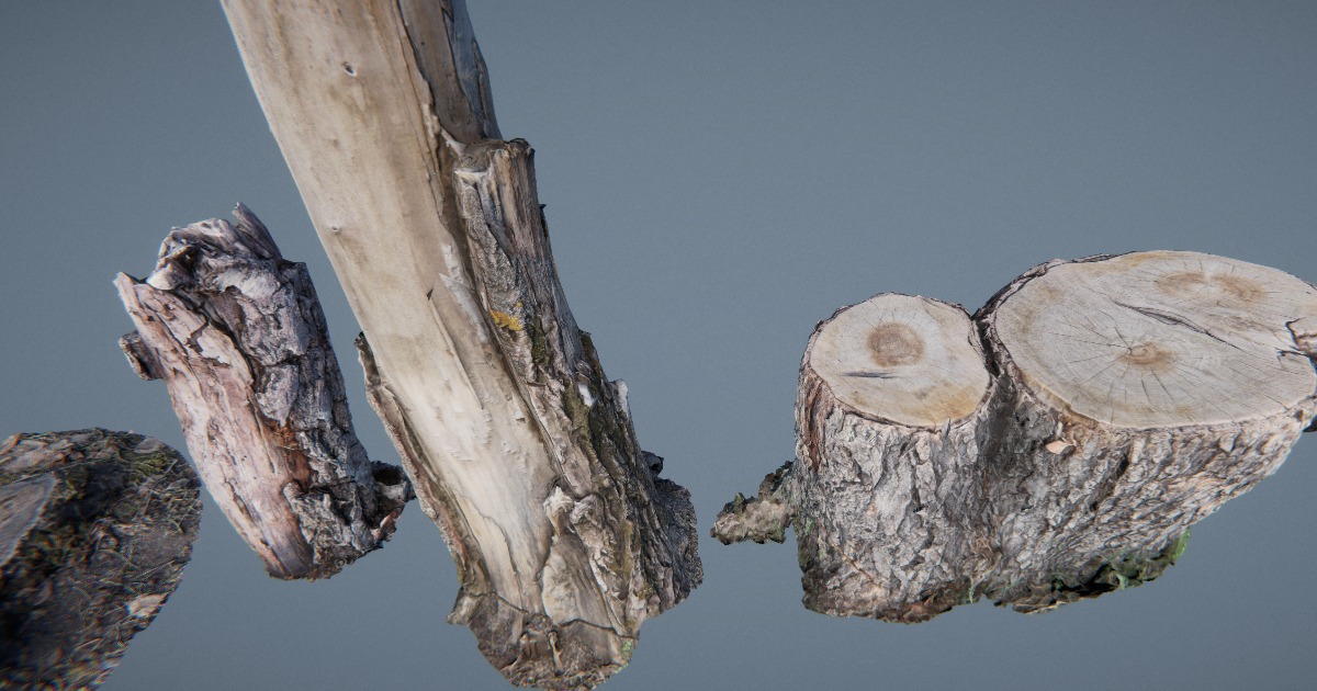 Scan Stump Vol.1 | 3D Vegetation | Unity Asset Store